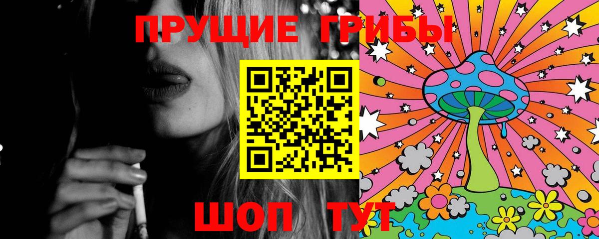 Благодарный  как найти закладки  Вход с VPN  Псилоцибиновые грибы ЛСД 